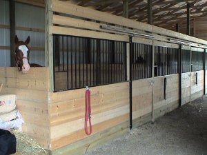 stall fronts