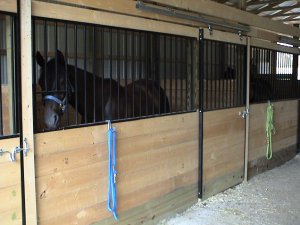 black steel stalls